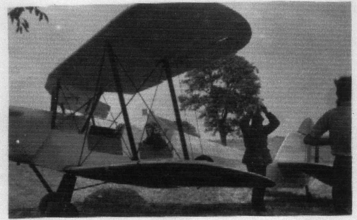 Stampe